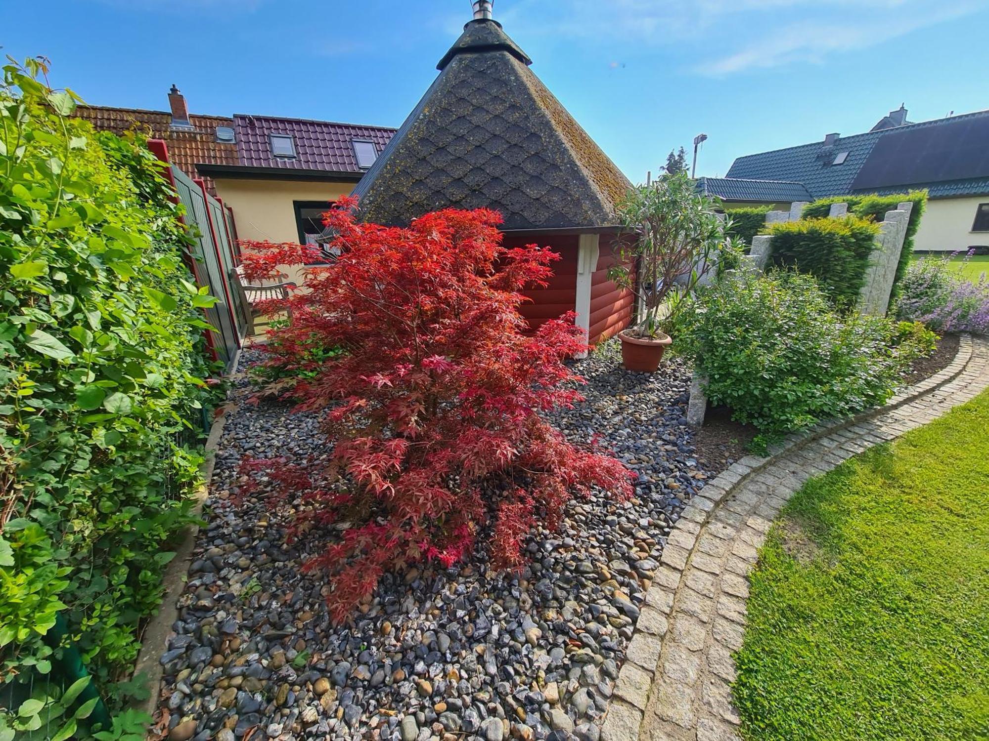 Ferienhaus Saupe Schaprode Exteriör bild
